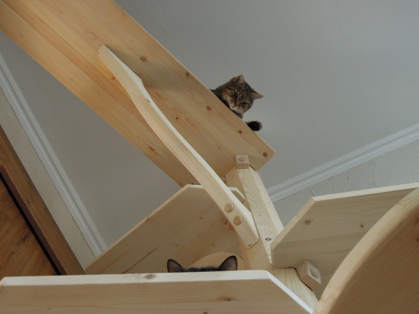 Detaily dřevěných záslepek a klínků