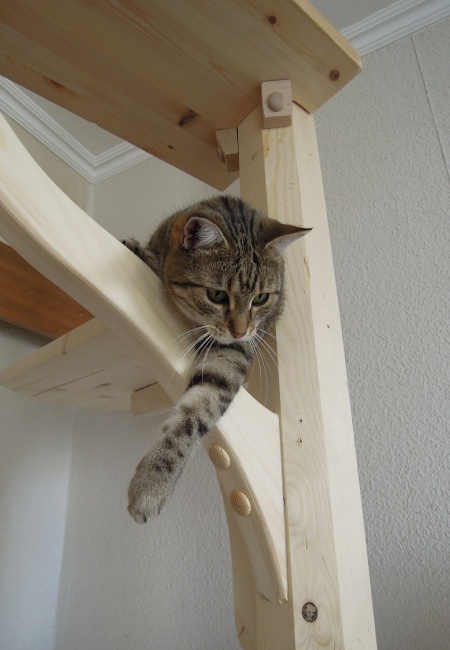 Detail stromu i s hlavním kontrolorem