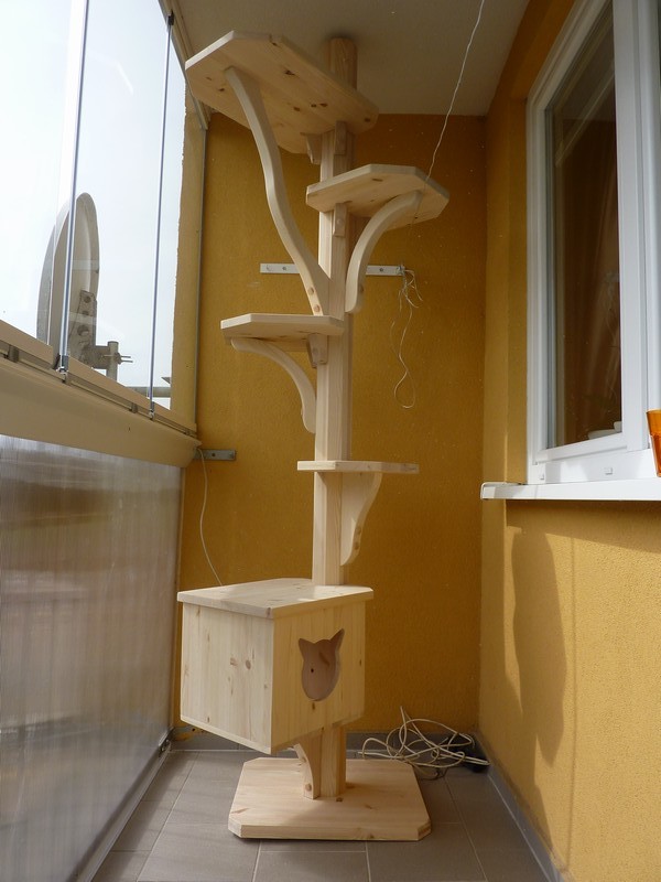 Severní Čechy - strom pro Samanthu a Charlieho