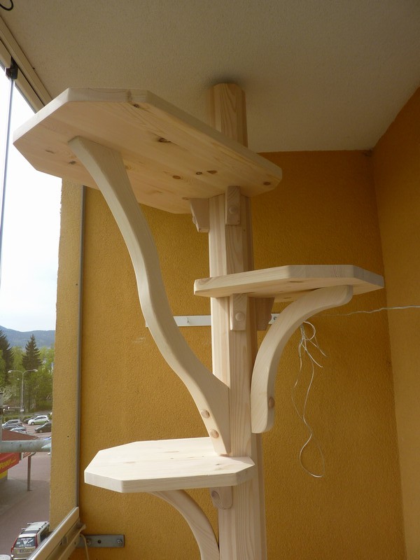 Severní Čechy - strom pro Samanthu a Charlieho