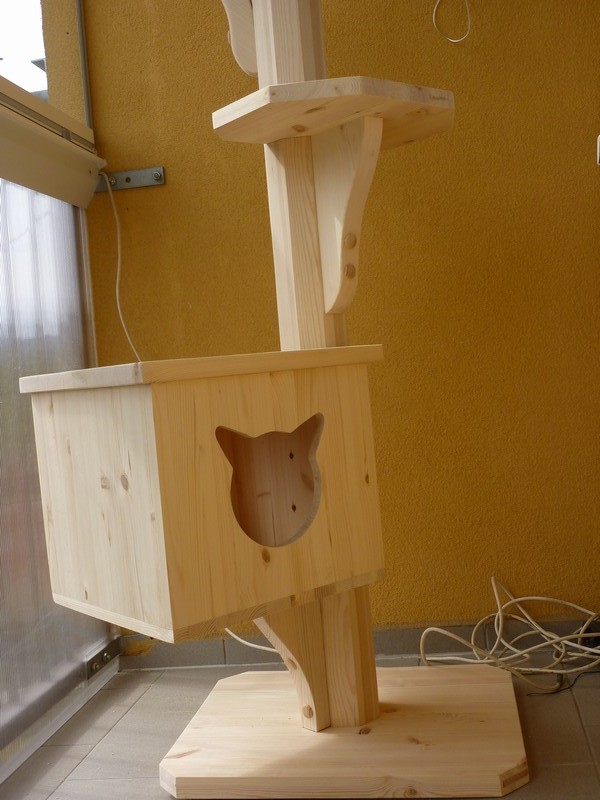 Severní Čechy - strom pro Samanthu a Charlieho