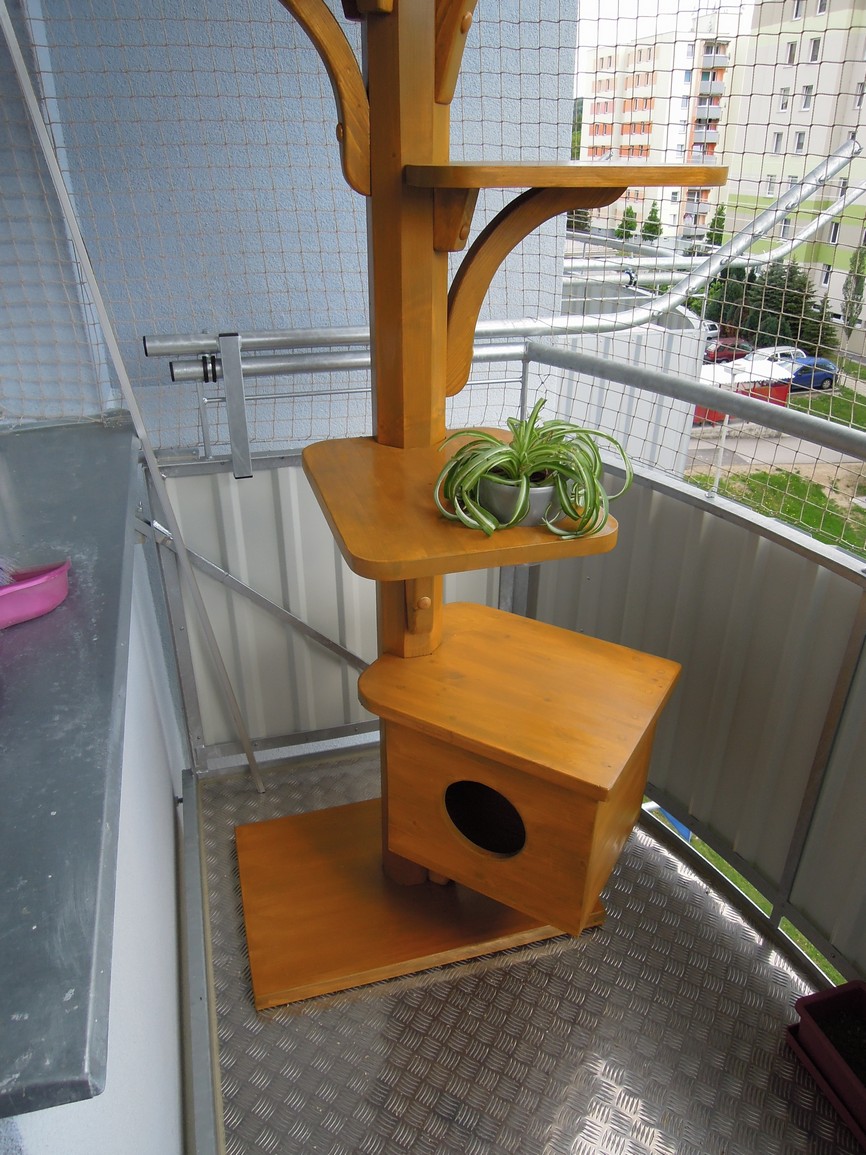 Jižní Čechy - strom pro Oliverinu a Jamese Hopse (nátěr) 