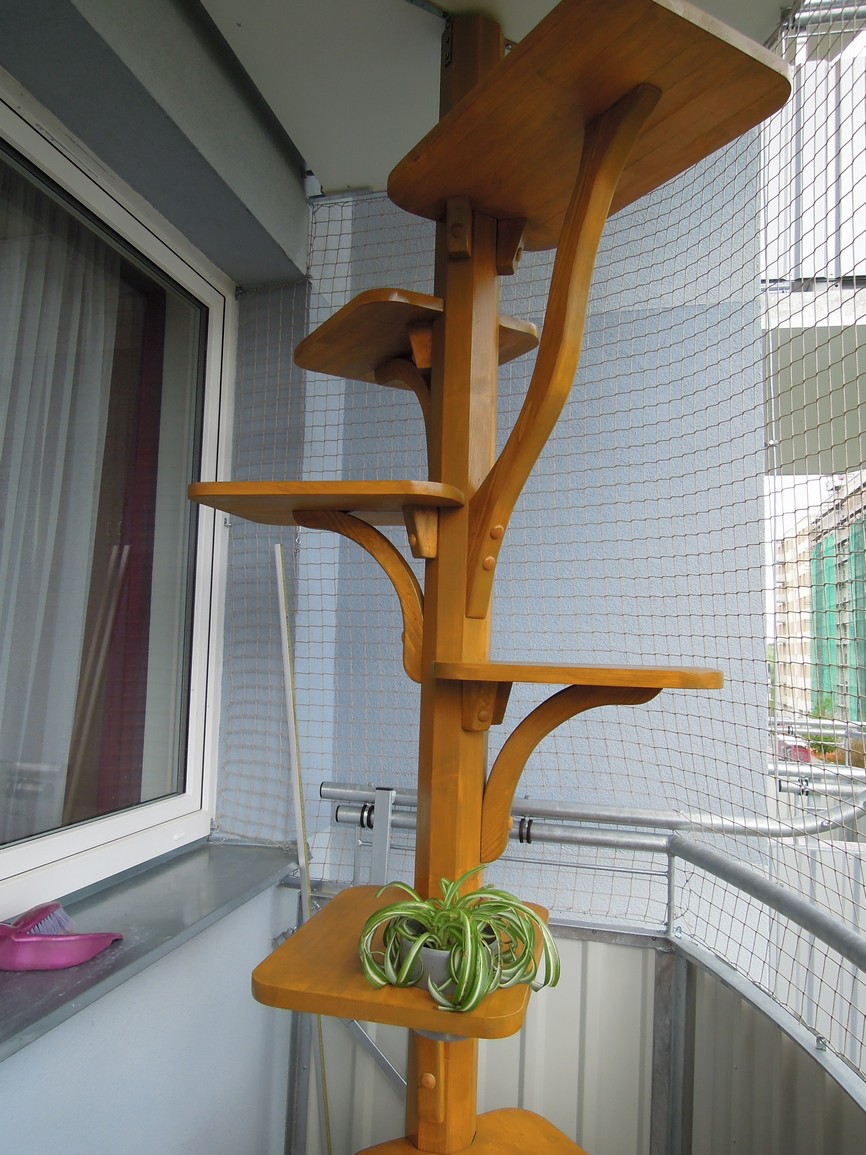 Jižní Čechy - strom pro Oliverinu a Jamese Hopse (nátěr) 