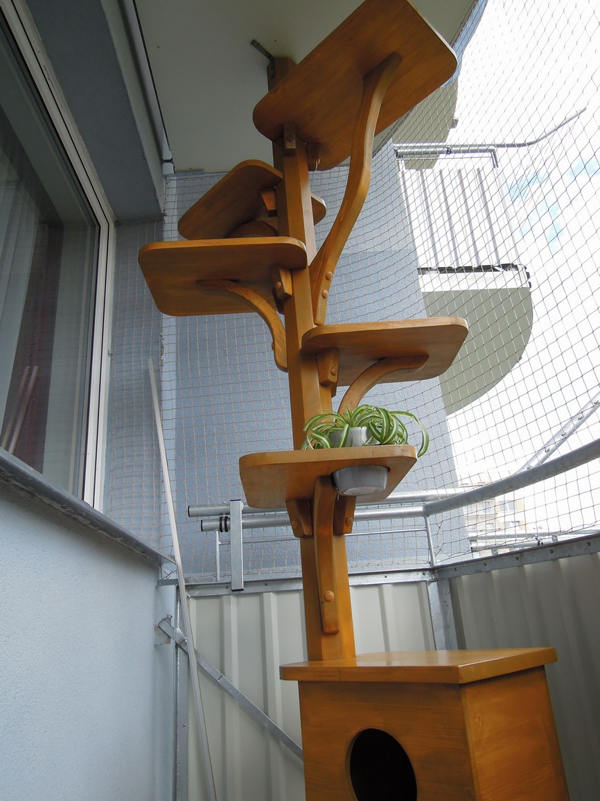 Jižní Čechy - strom pro Oliverinu a Jamese Hopse (nátěr) 