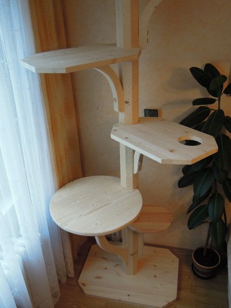 Praha - strom pro Anetku