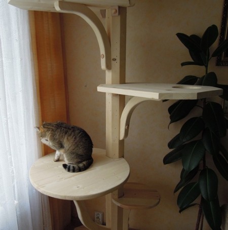 Praha - strom pro Anetku