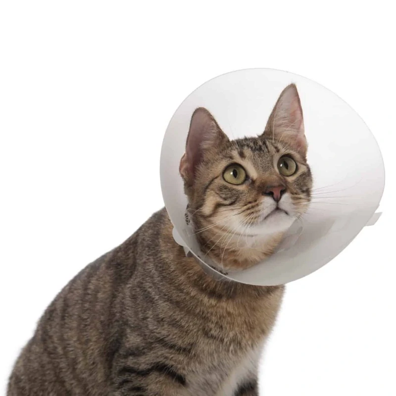 Ochranný límec Classic Collar 10cm