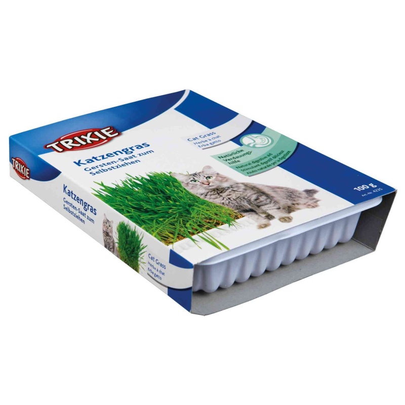 Tráva pro kočku v misce 100g
