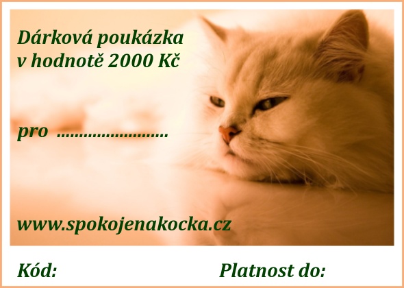 Dárková poukázka v hodnotě 2000 Kč