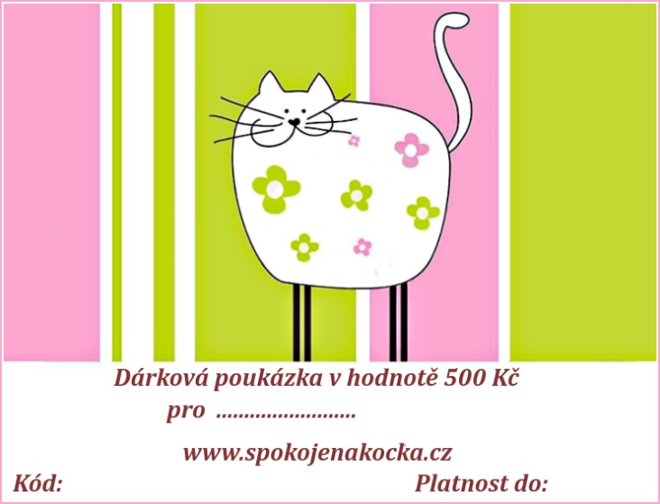 Dárková poukázka v hodnotě 500 Kč - kresba