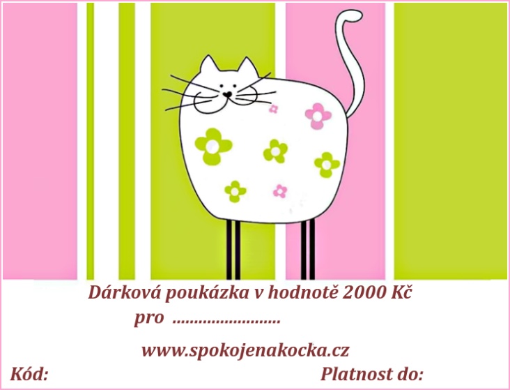 Dárková poukázka v hodnotě 2000 Kč - kresba