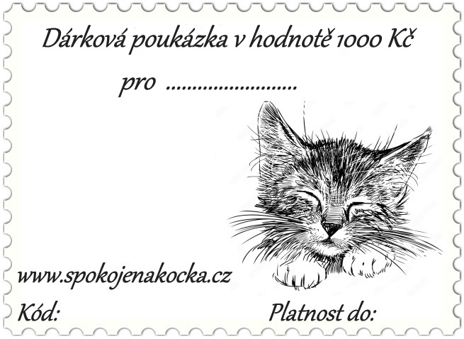 Dárková poukázka v hodnotě 1000 Kč - kotě