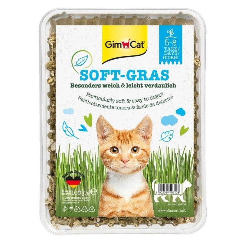 Tráva pro kočky Gimcat Soft Gras 100g