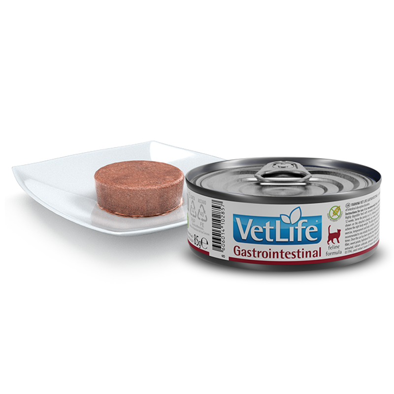 Vet Life Natural CAT Gastro-Intestinal 85g