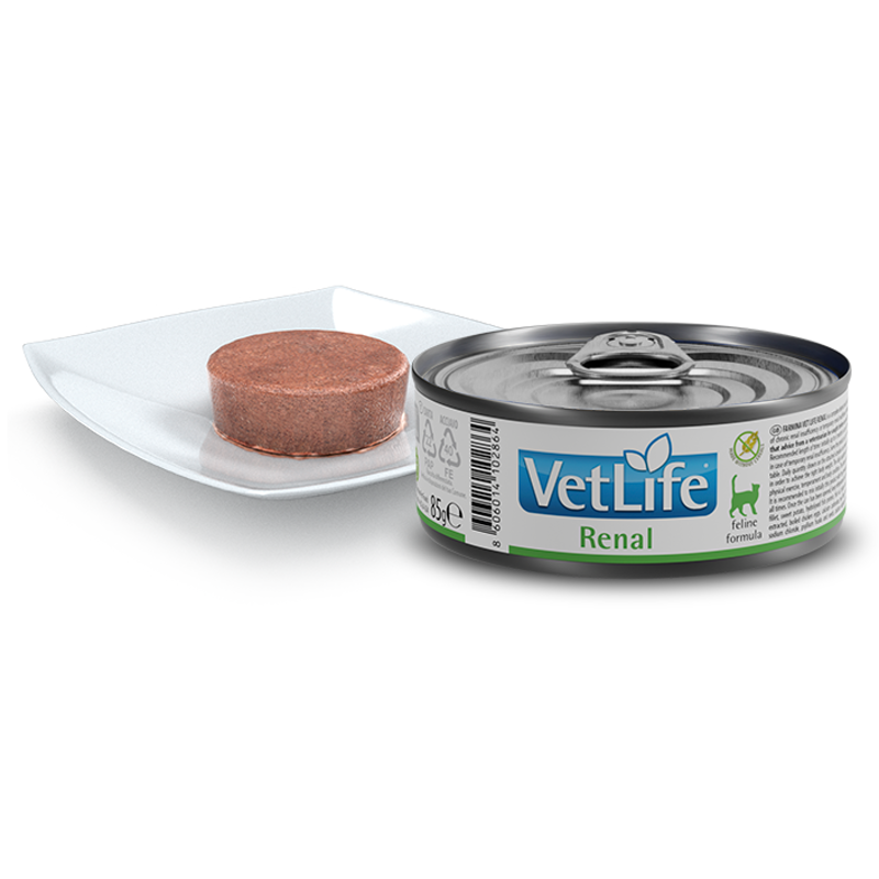 Vet Life Natural CAT Renal 85g