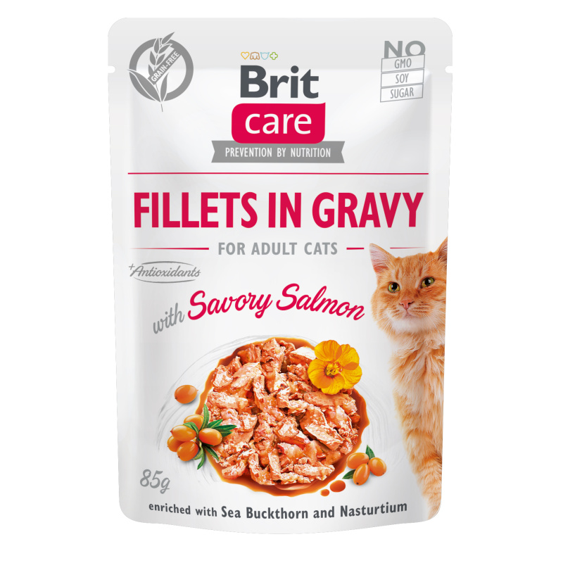 BRIT CARE Cat Fillets Gravy Savory Salmon 85g