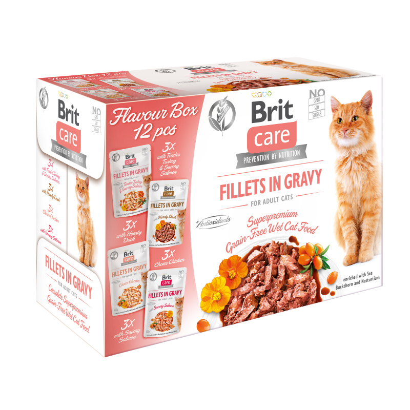 BRIT CARE Cat Fillets Gravy Flavour Box 12x85g
