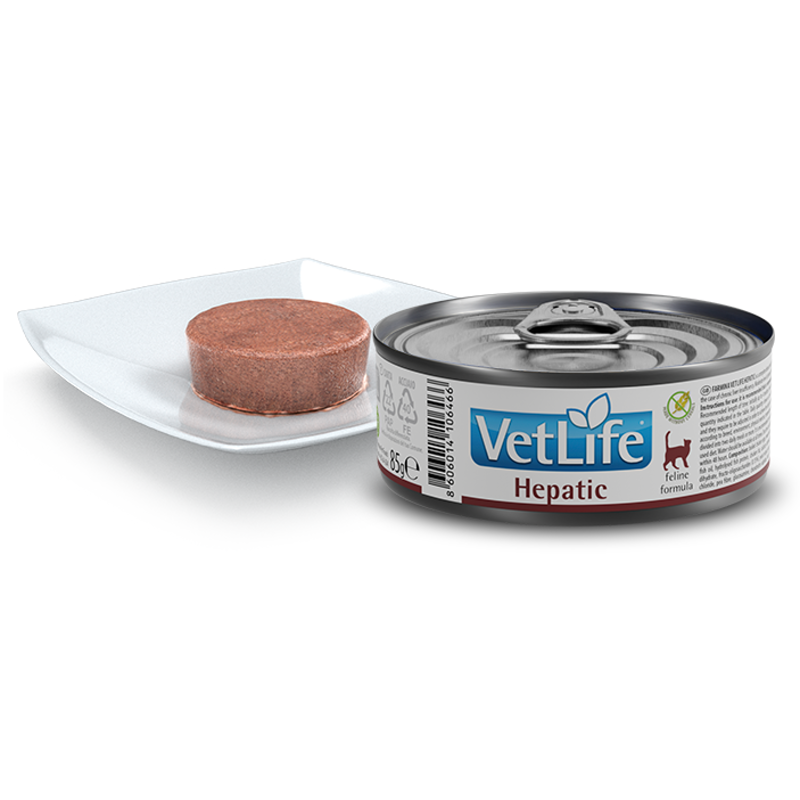 Vet Life Natural CAT Hepatic 85g