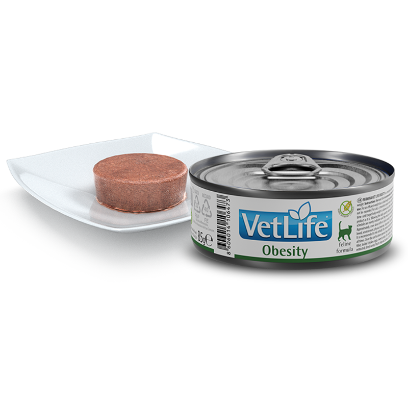 Vet Life Natural CAT Obesity 85g 