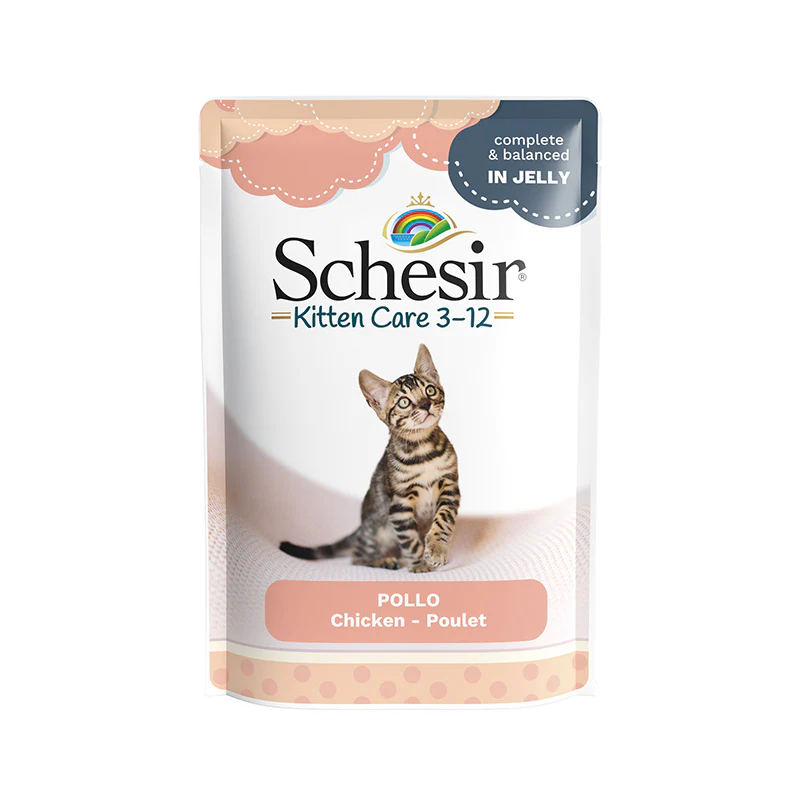 Schesir Cat Kitten kuře 85g