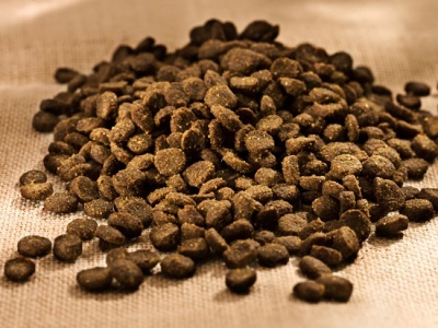 HAPPY CAT Culinary Atlantik Lachs 4kg