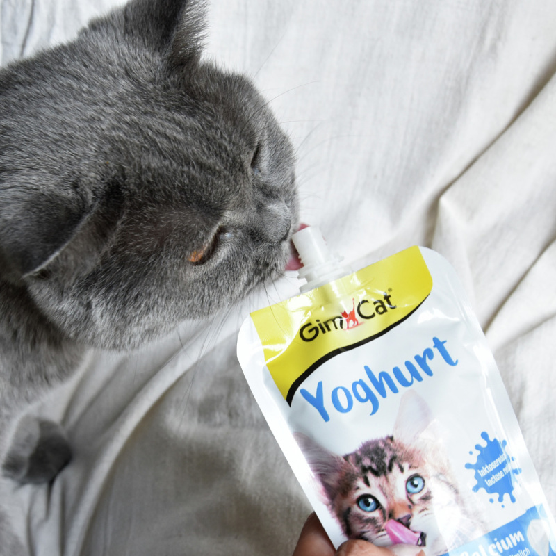 GimCat jogurt pro kočky 150g