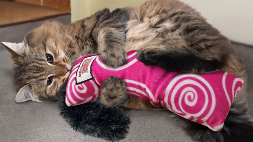 Kong Kickeroo Kitten 