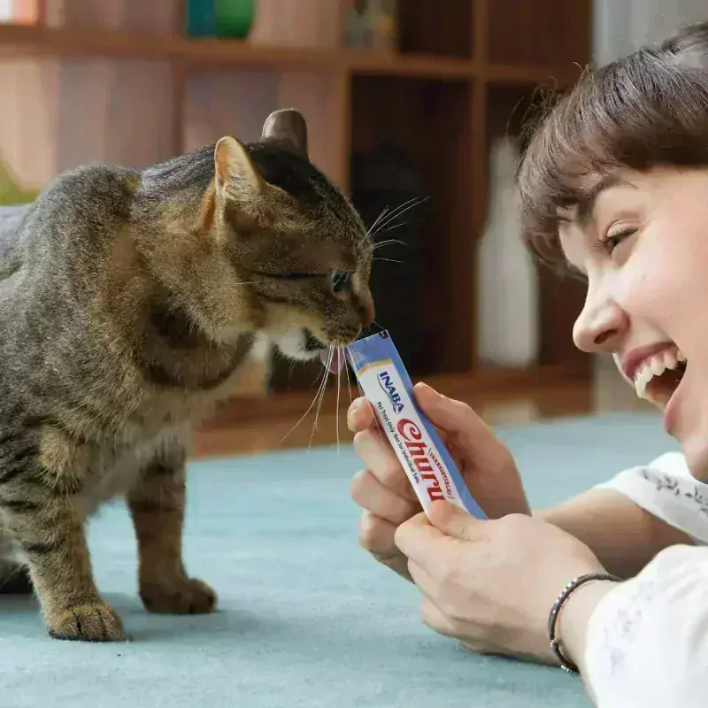 Churu Cat Tuna with Salmon 4x14g