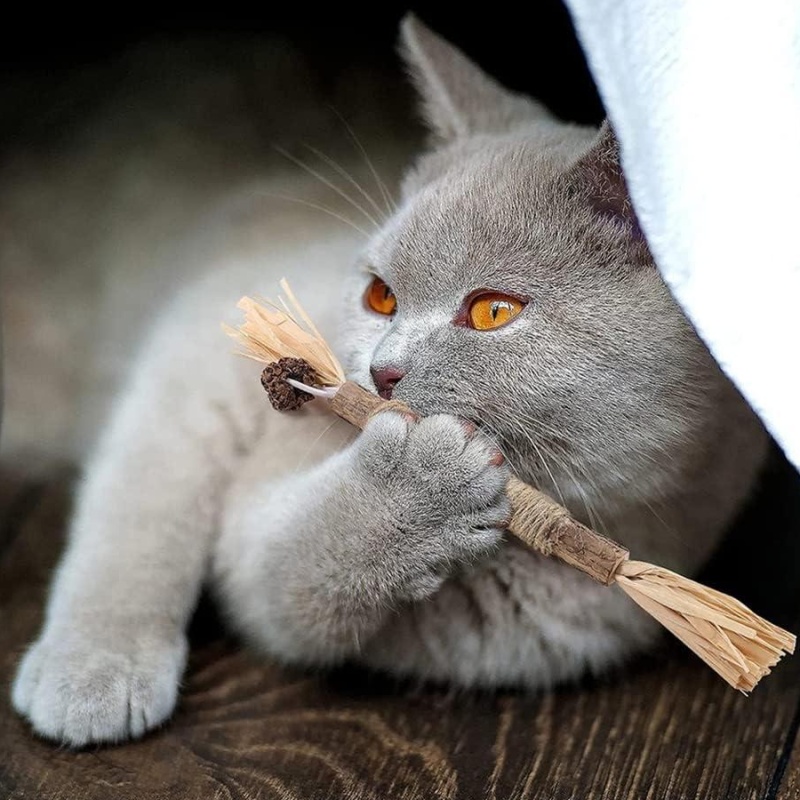 Matatabi tyčinka s třásněmi 24cm