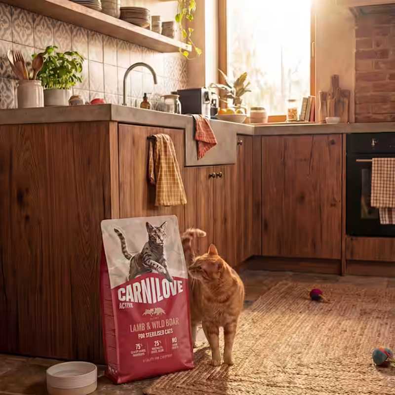 Carnilove ACTIVE DRY Lamb & Wild Boar for Sterilised Cats 2kg