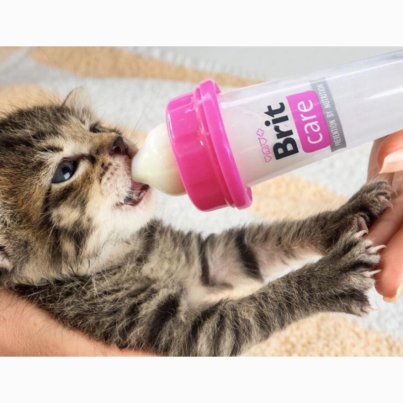 Brit Care Kitten Milk 250g
