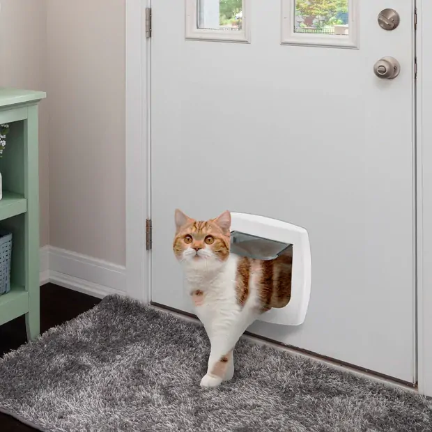 Kočičí dvířka Swing 3 White